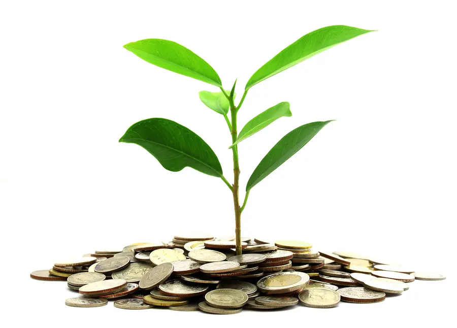 Инвестиции SKF в сохранение экологии | Свежие новости в Омске